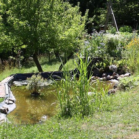 Ferienhaus "Am Schleifenbach" Saalfeld Saale Zewnętrze zdjęcie