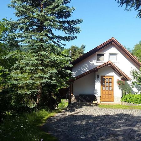 Ferienhaus "Am Schleifenbach" Saalfeld Saale Zewnętrze zdjęcie