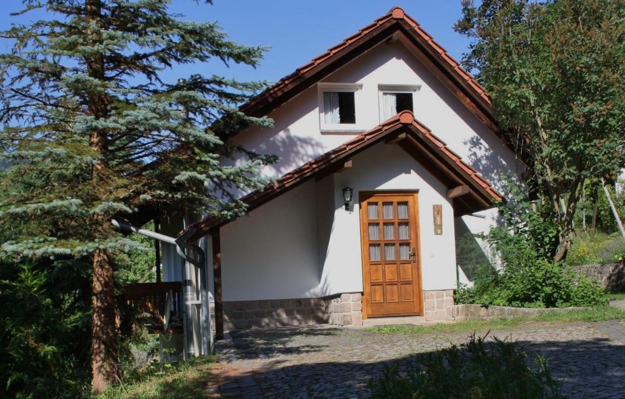 Ferienhaus "Am Schleifenbach" Saalfeld Saale Zewnętrze zdjęcie